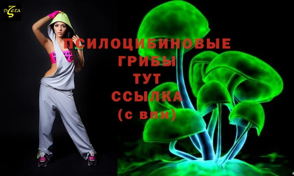 гашик Киреевск