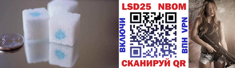 кракен как войти  Клинцы  Лсд 25 экстази кислота 