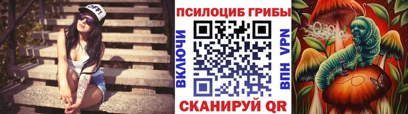 hydra ссылки  Клинцы  Галлюциногенные грибы Psilocybine cubensis 