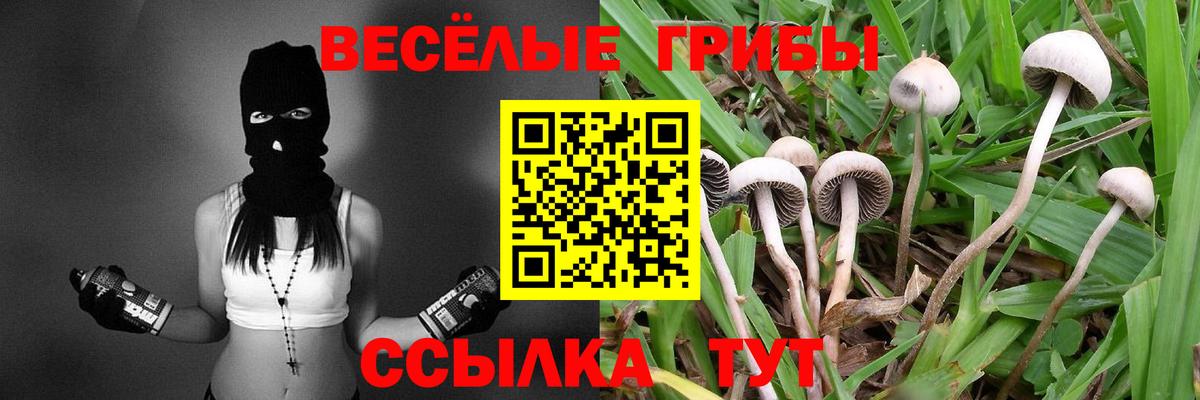 Псилоцибиновые грибы мухоморы Клинцы